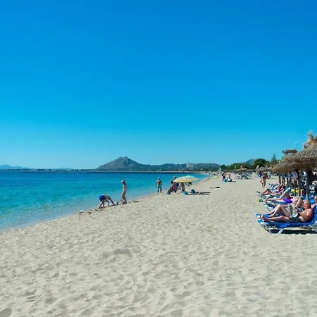 Owl Maria - Family And Friends *