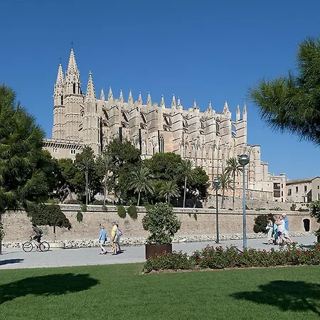 Owl Maria - Family And Friends