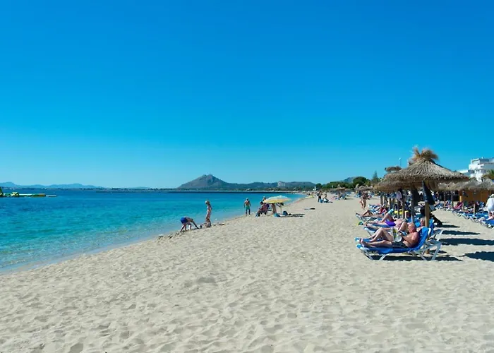 Owl Maria - Family And Friends *